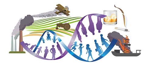 Chronic Disease Epidemiology Group Image